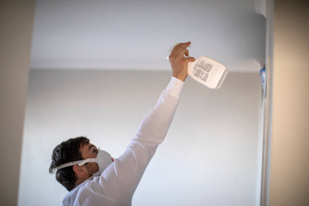 Best Post-Flood Mold Remediation in Osceola, AR